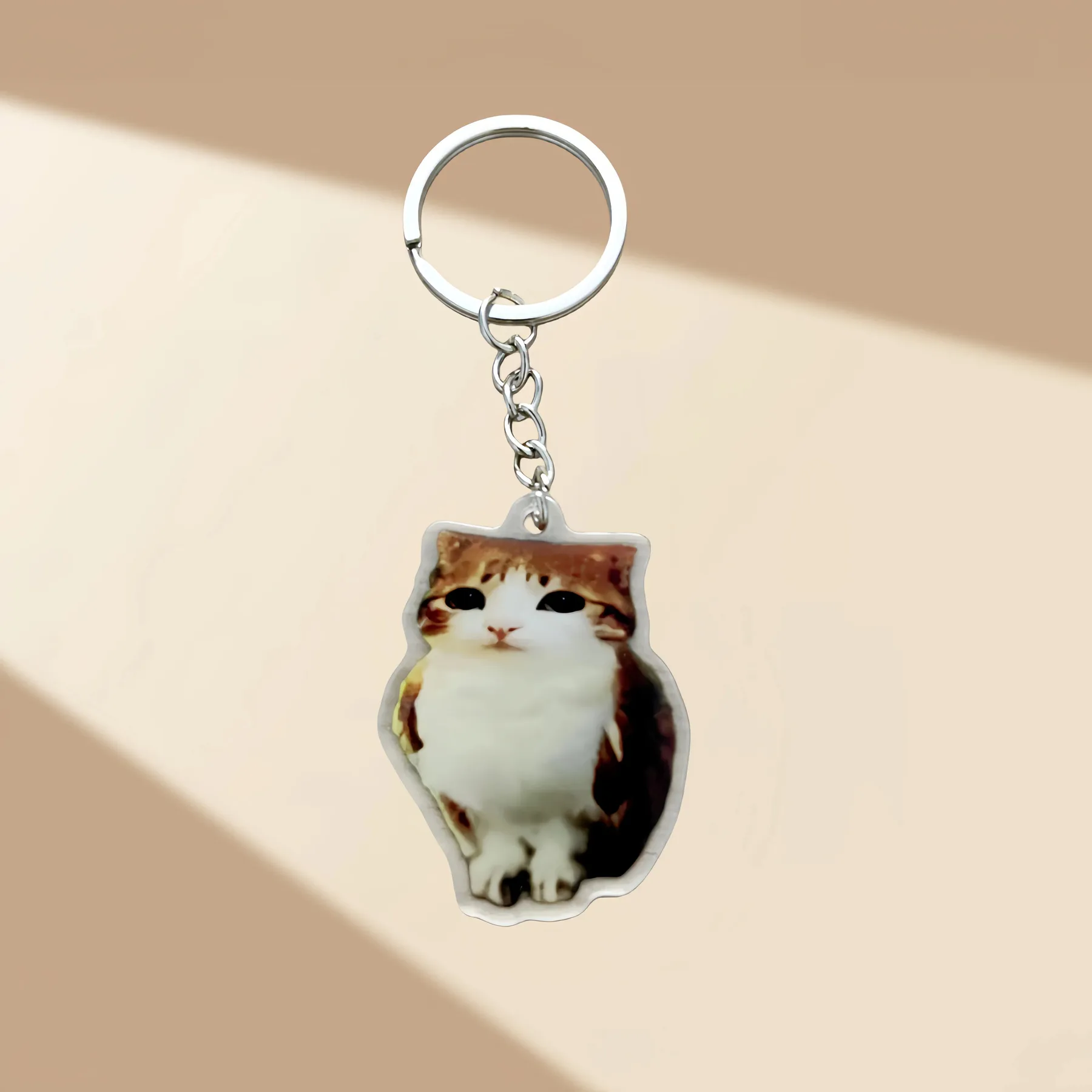 Meowl Series 1 Keychains