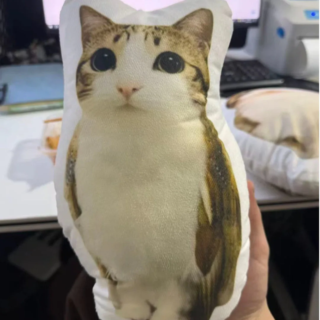 Meowl Series Pillows（Double‑Sided Print）