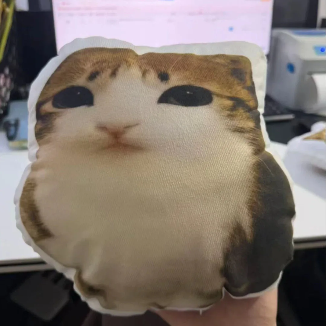 Meowl Series Pillows（Double‑Sided Print）