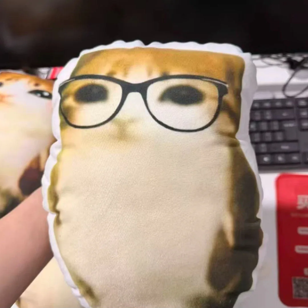 Meowl Series Pillows（Double‑Sided Print）