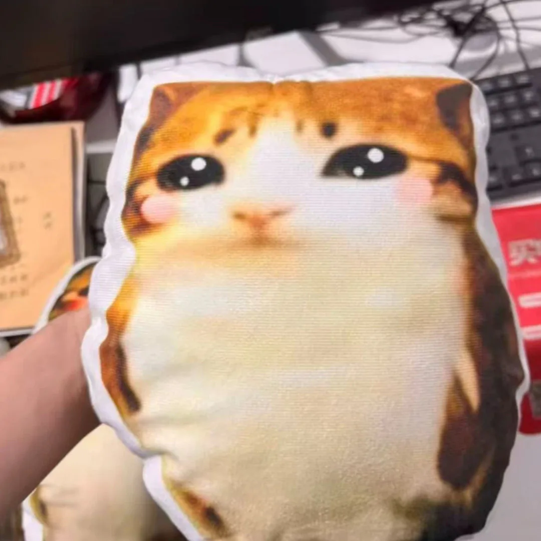 Meowl Series Pillows（Double‑Sided Print）