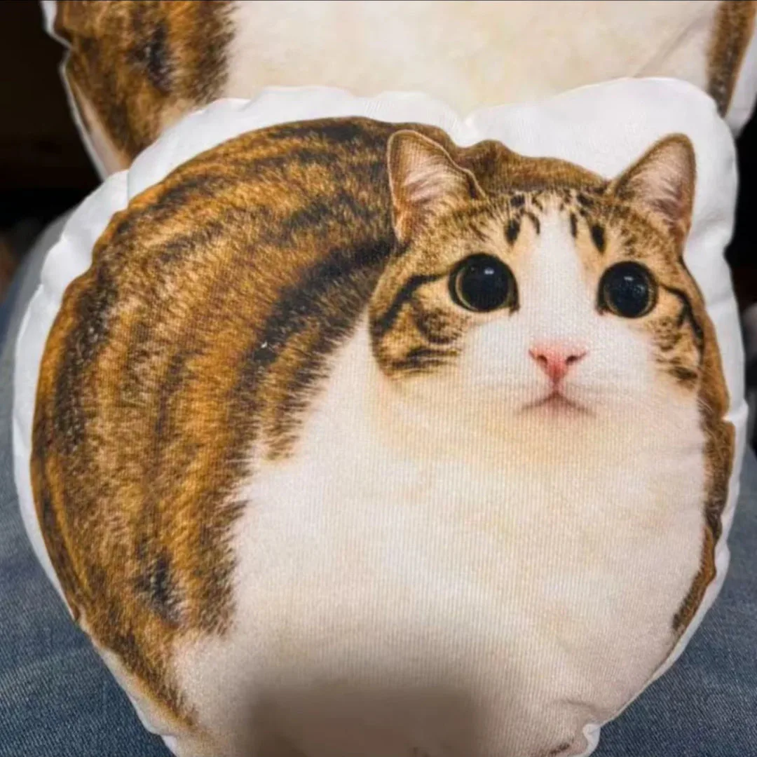 Meowl Series Pillows（Double‑Sided Print）