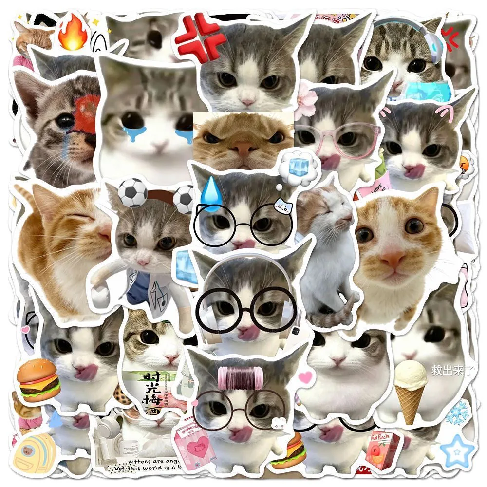 48 Unique Crispy Triangle Cat Meme Stickers