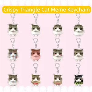 Crispy Triangle Cat Meme Keychain
