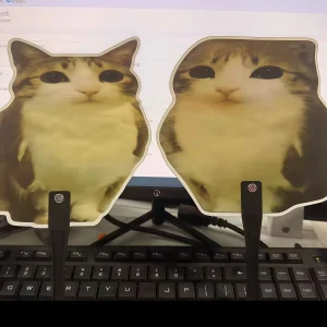 Cute Meowl Fan