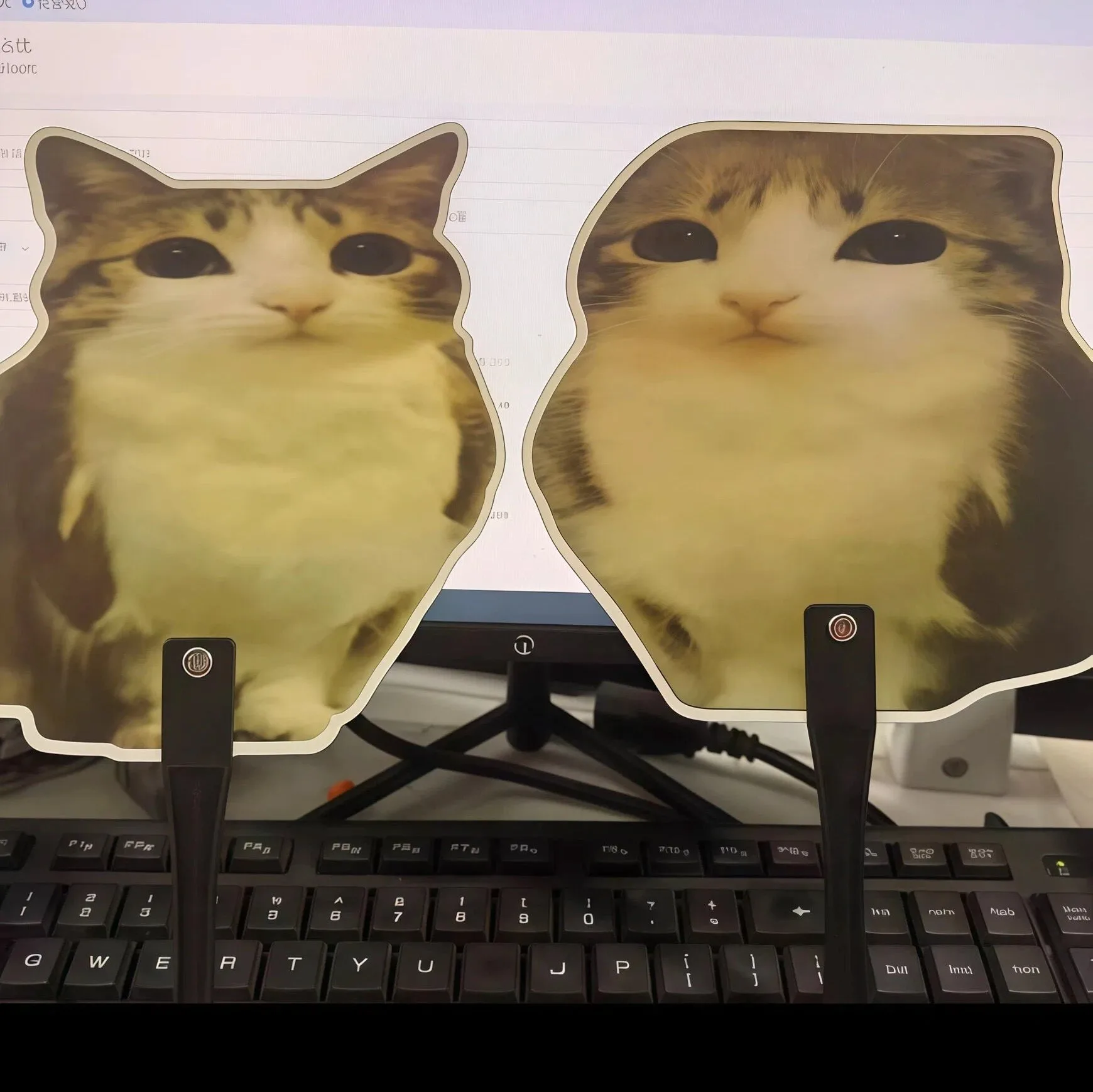 Cute Meowl Fan