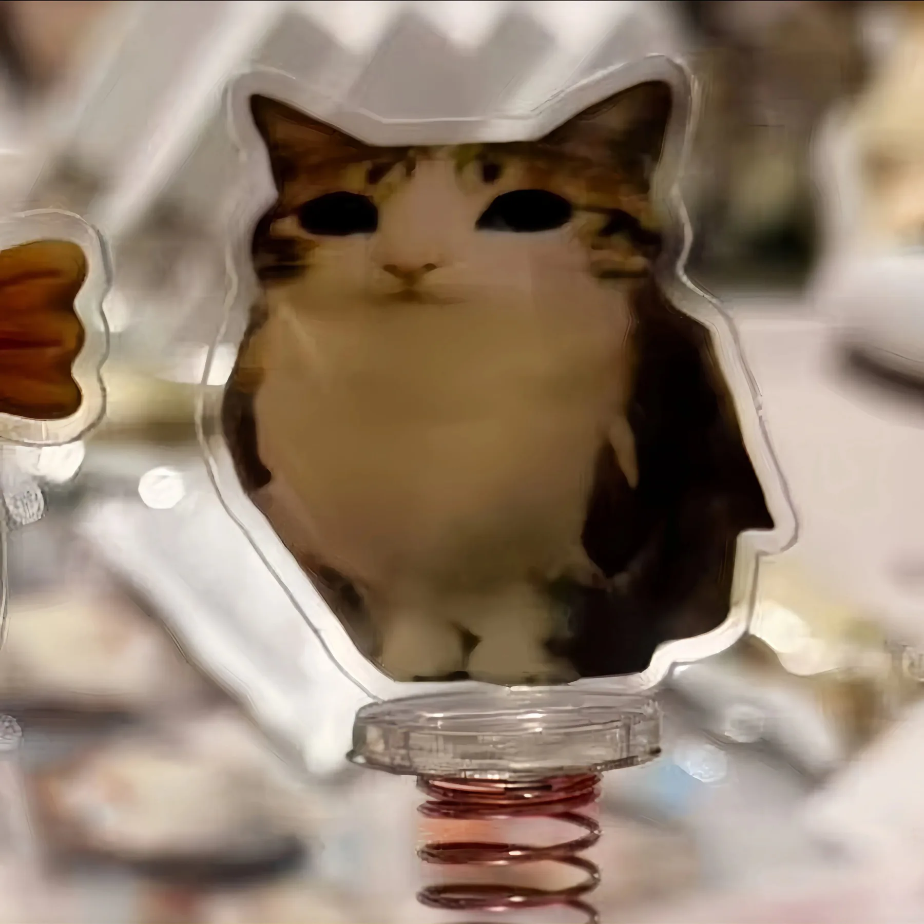 Meowl Series Shaker Charms