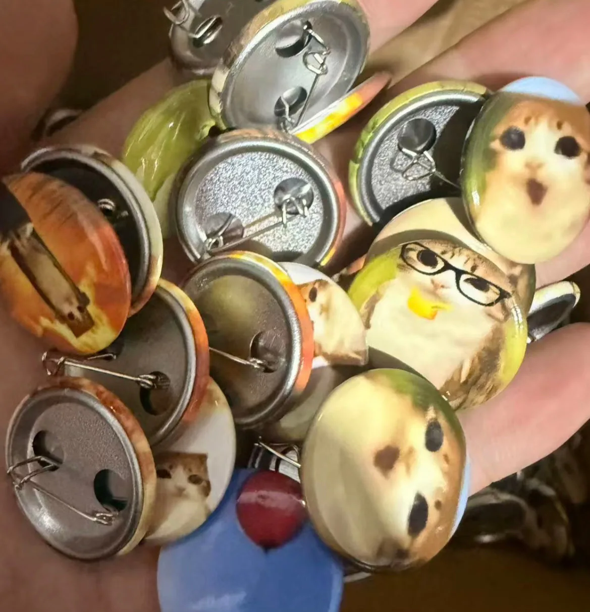 Meowl Series Badges（12 pieces per box）
